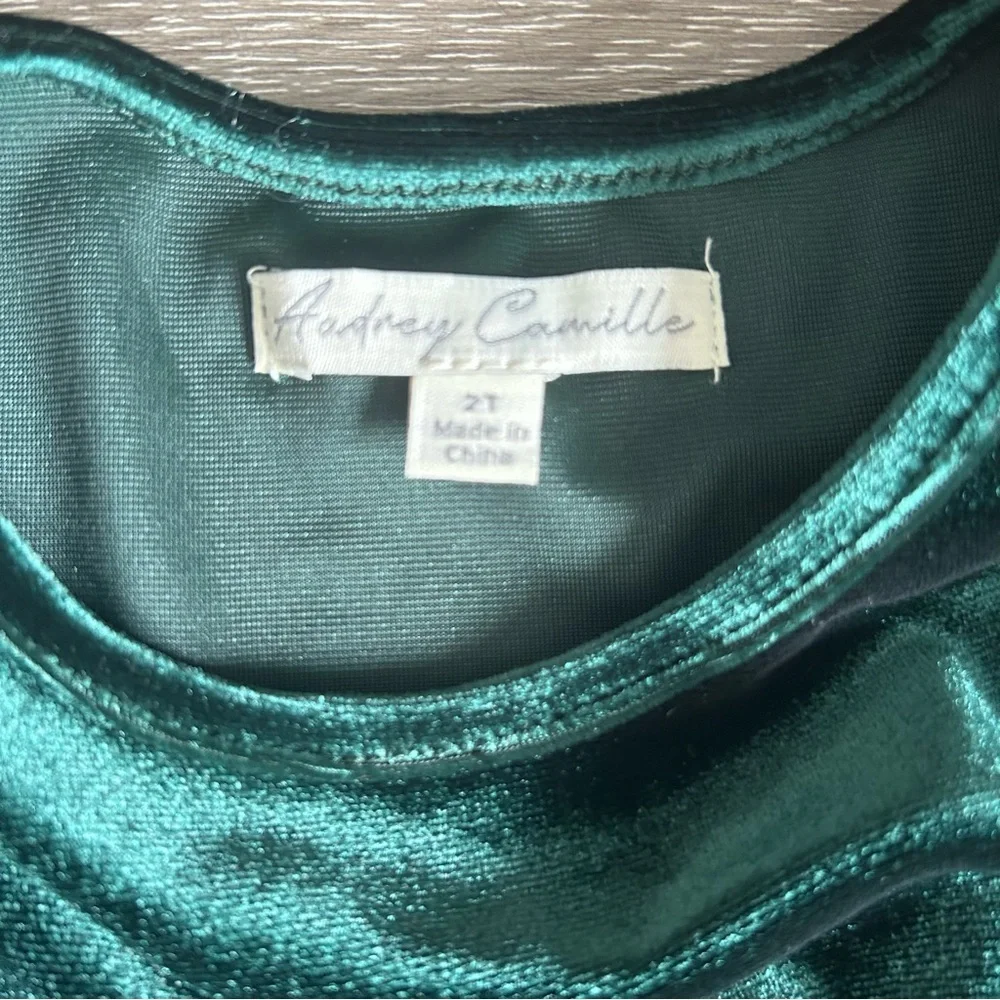 NWT Kids Girls 2T Green Velvety Christmas Holiday Bow Long Sleeve Dress